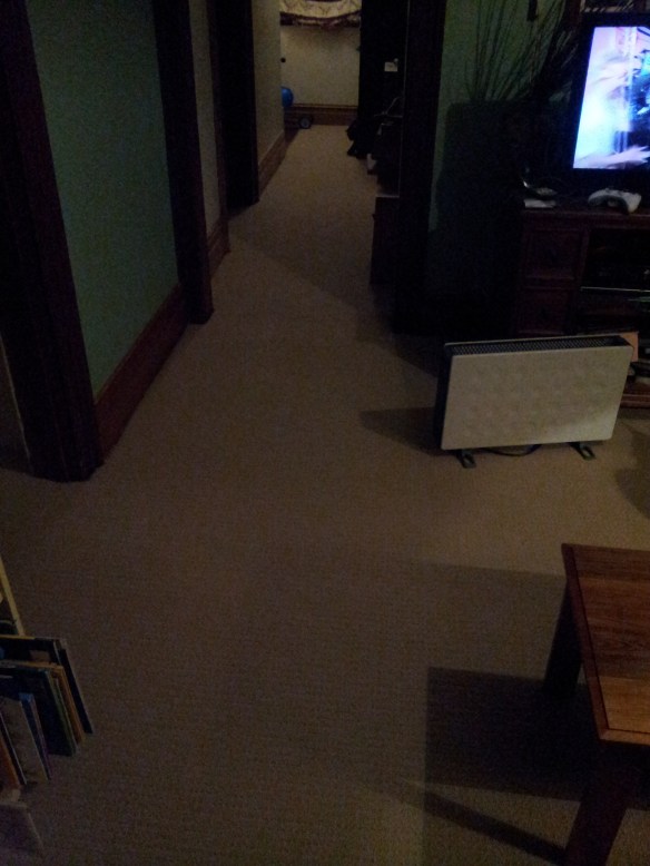 Lounge room carpet, but the lighting isn't that great. Just ignore the walls. 