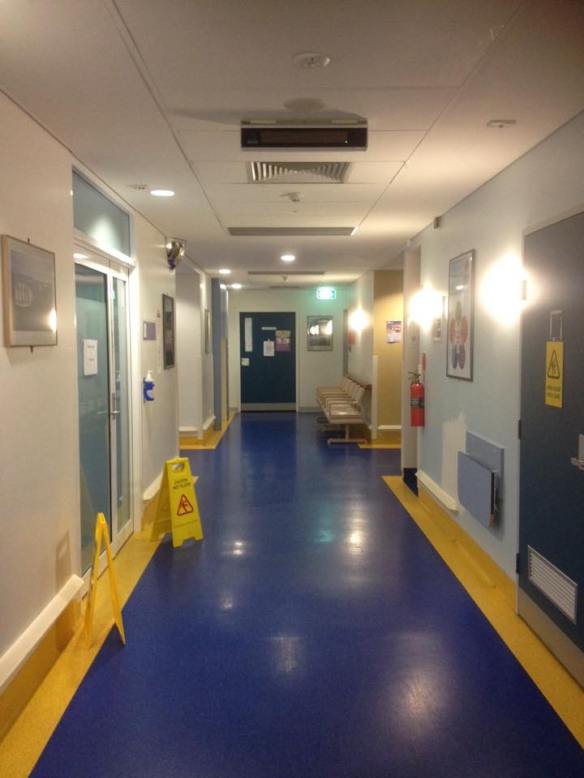 12019923_10154223411564606_5522104341071641558_n